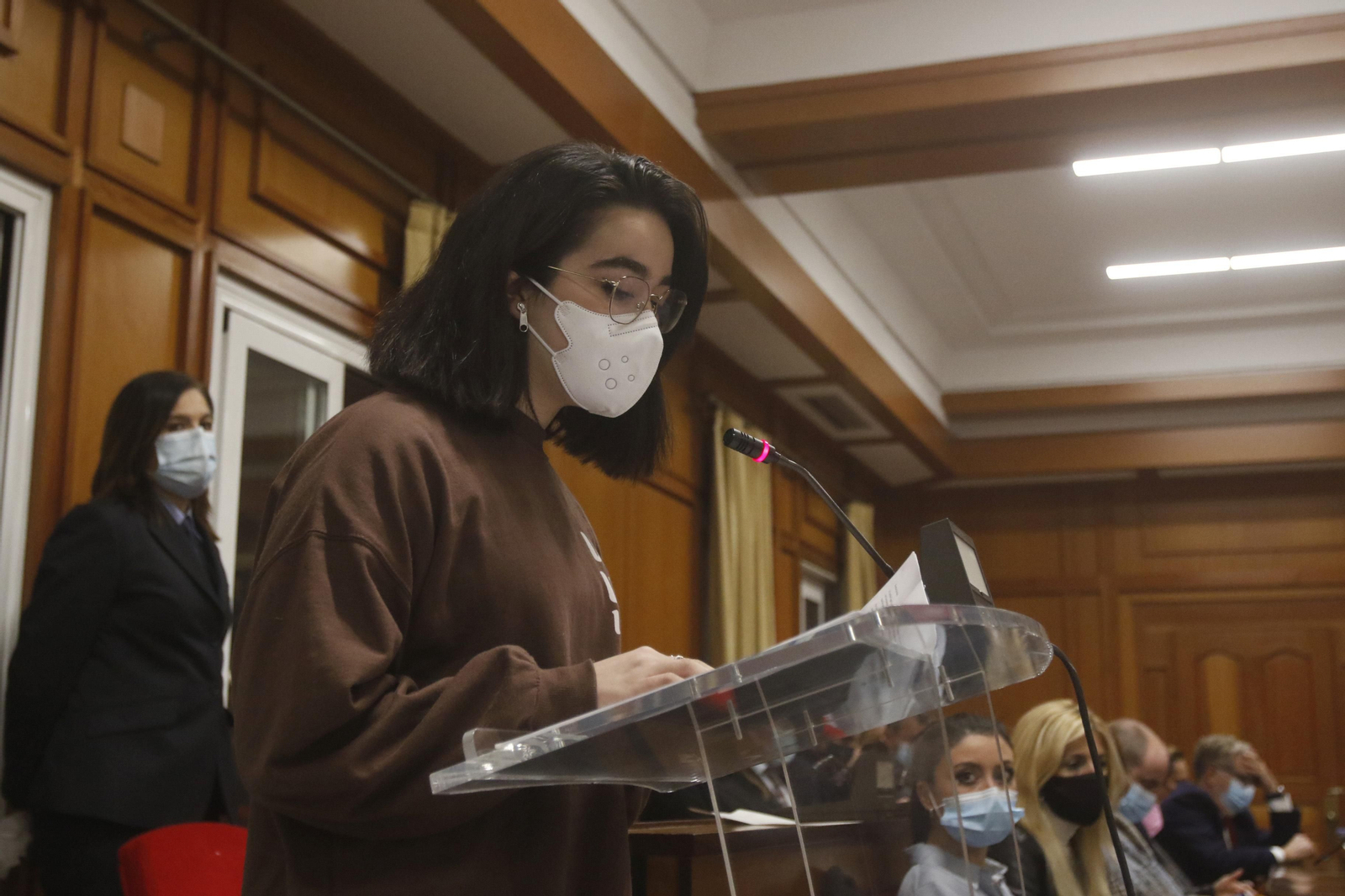 Pleno extraordinario por el Día Internacional de la Eliminación de la Violencia contra la Mujer.