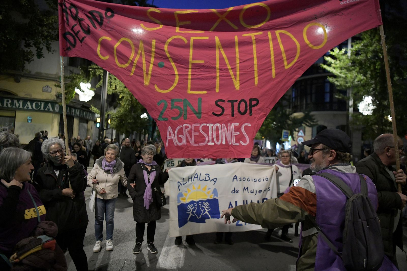 La manifestación del 25-N en Granada, en imágenes
