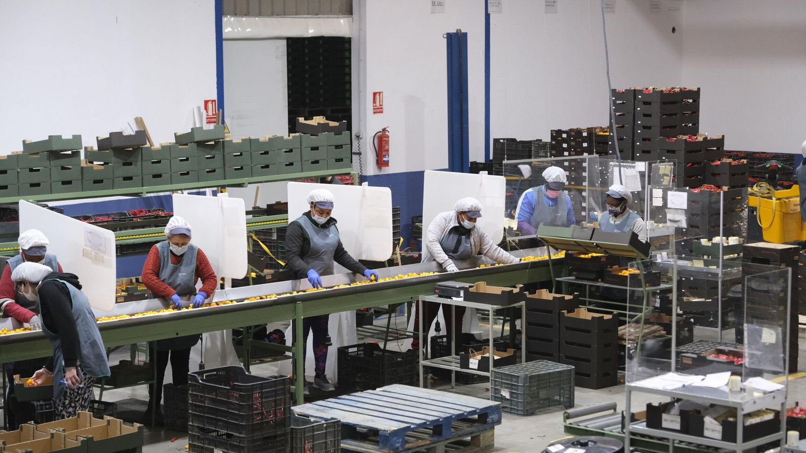 Instalaciones de Frescover, especialista en pimiento picante