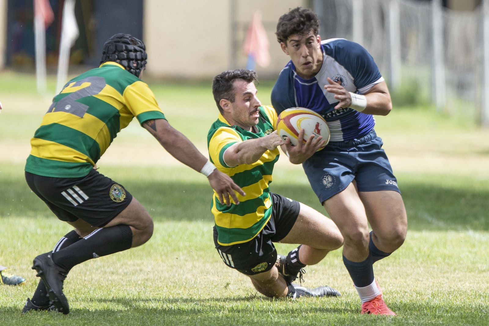 Las mejores fotos del partido del ascenso a División de Honor B de rugby entre Universidad de Granada y Portuense