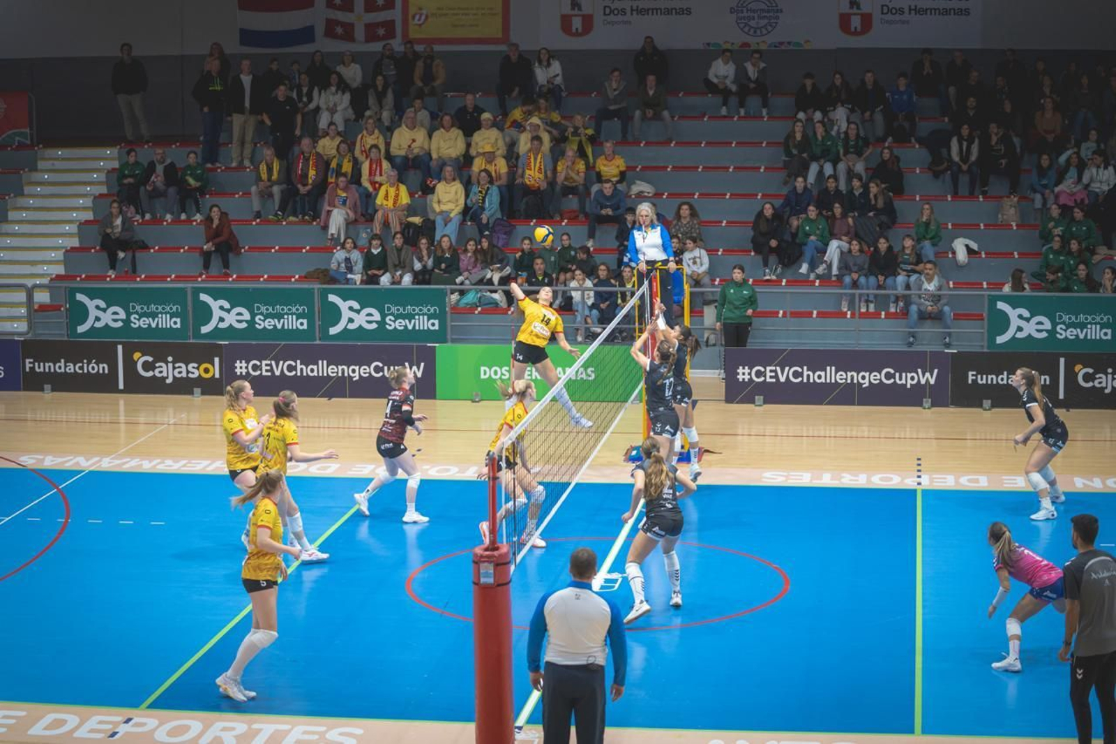 Las fotos del Fundación Cajasol Andalucía-Dynamo Apeldoorn