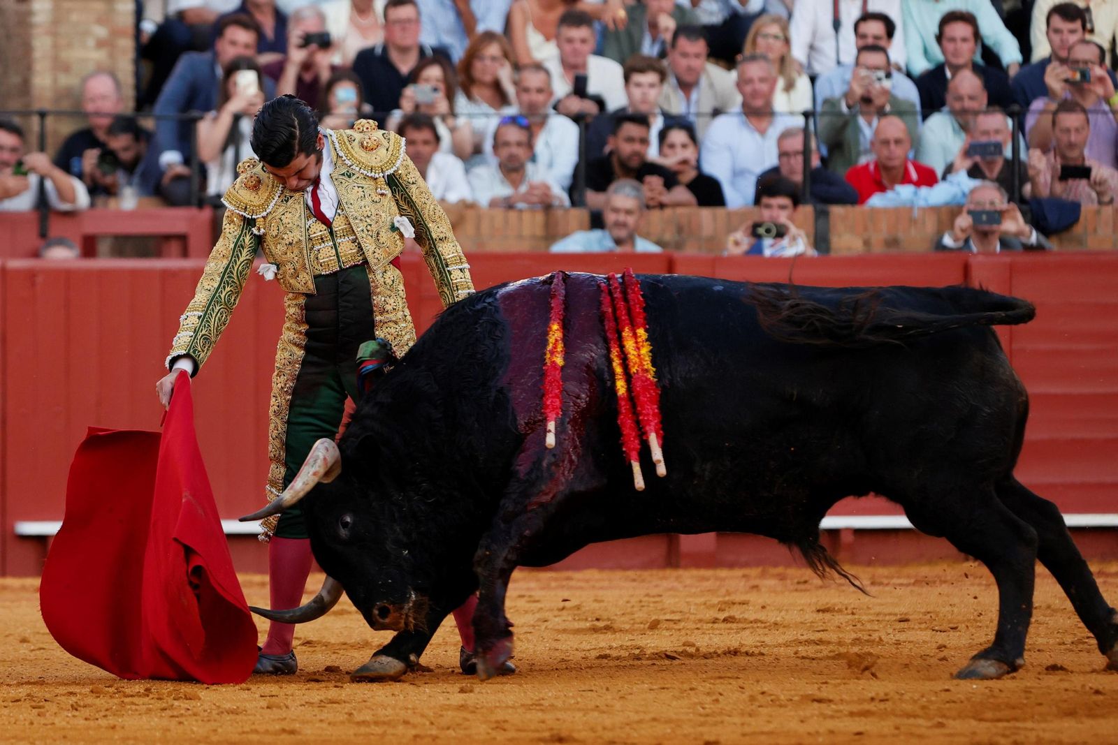 Embebiendo en la panza de su muleta la brava embestida de ‘Bodeguero’ es como Morante empezó a fraguar su gran obra.