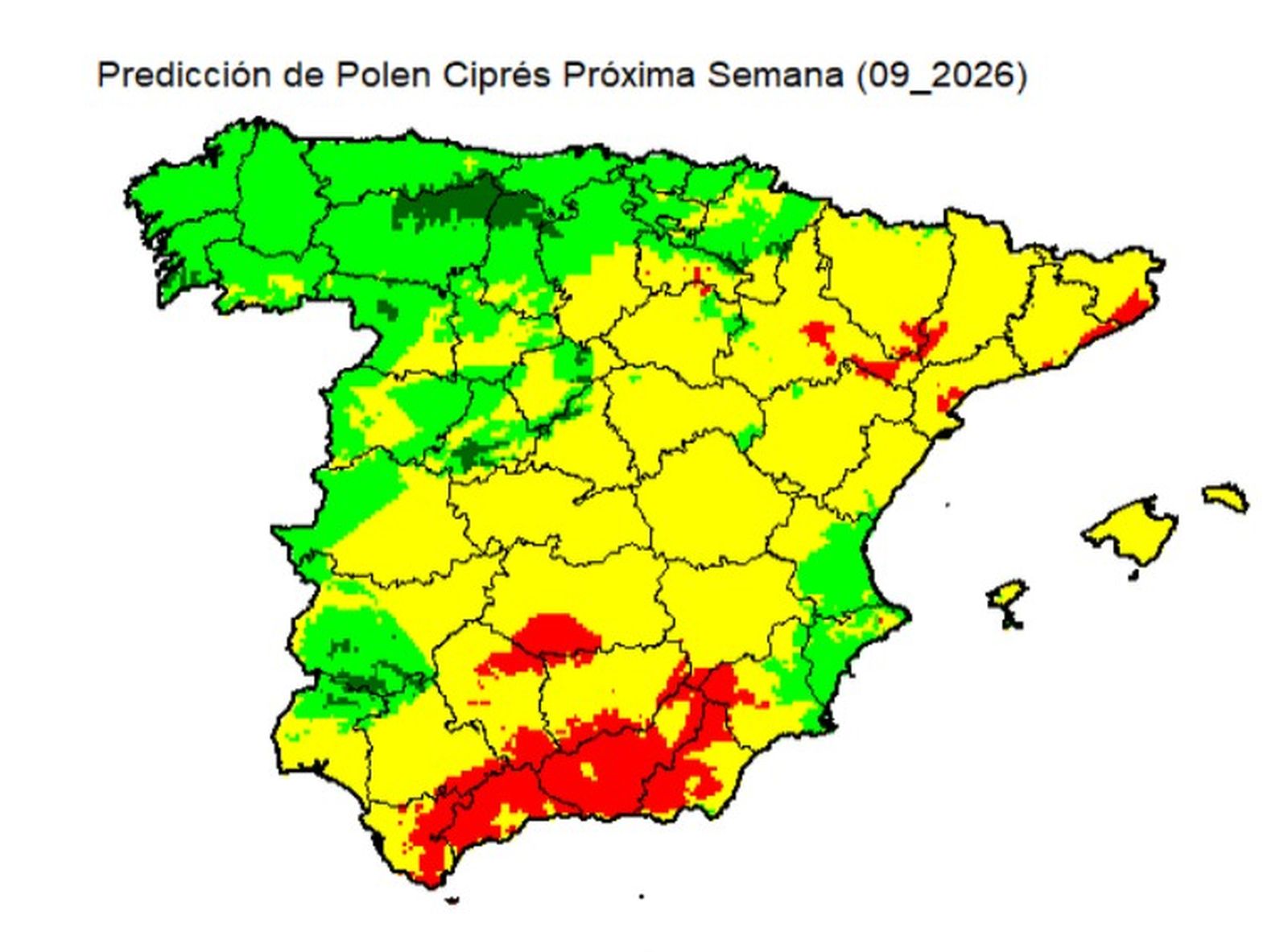 Predicción de las concentraciones de polen de ciprés para la próxima semana.