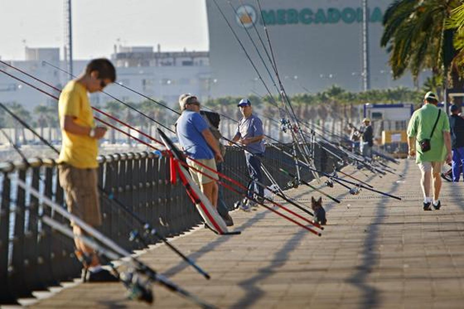Los piquetes tomaron el centro de la capital desde primera hora de la mañana para impedir la apertura de comercios y empresas. /Julio González