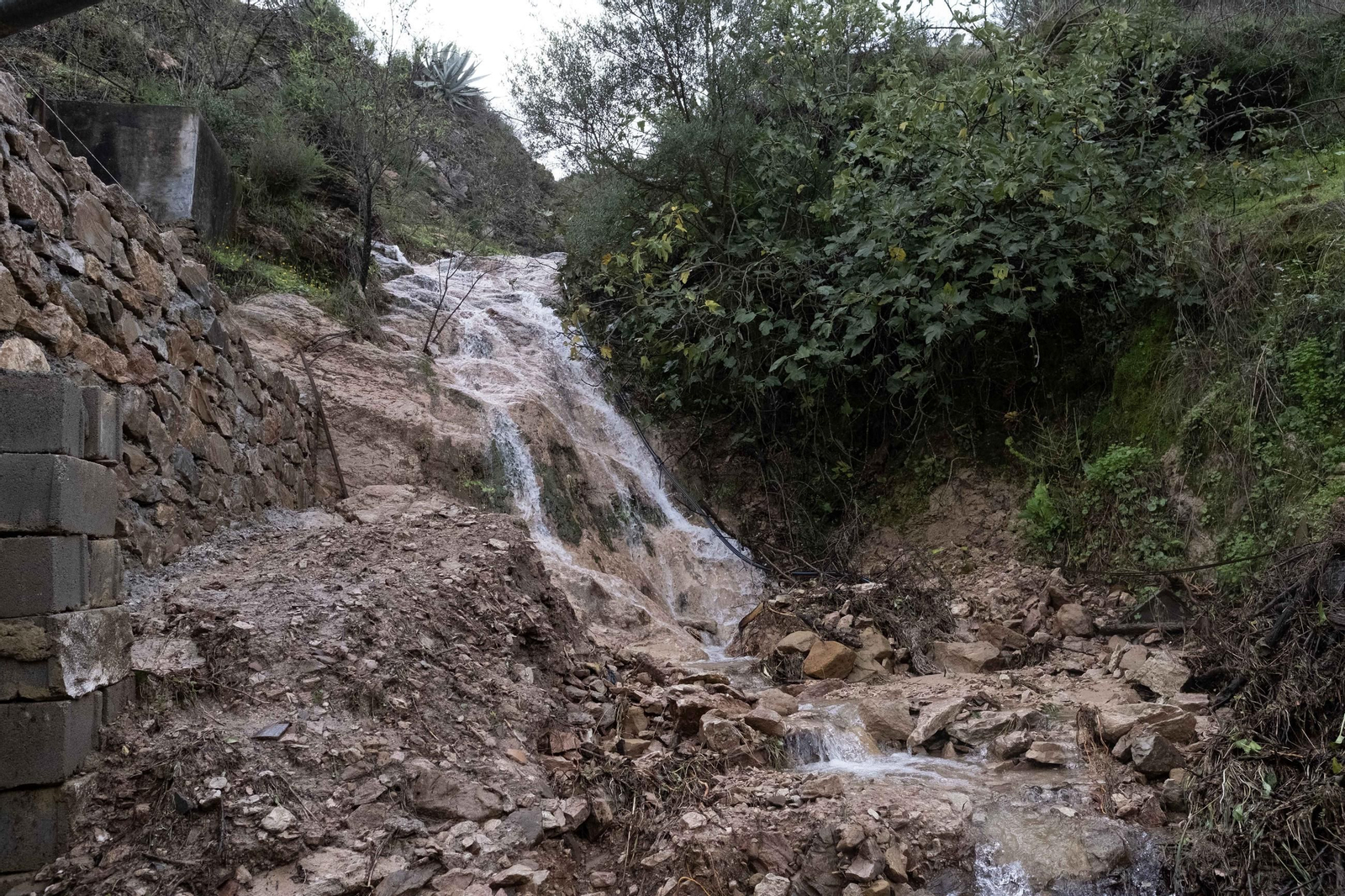 Riada de lodo y piedras en Jimera de Líbar, en fotos