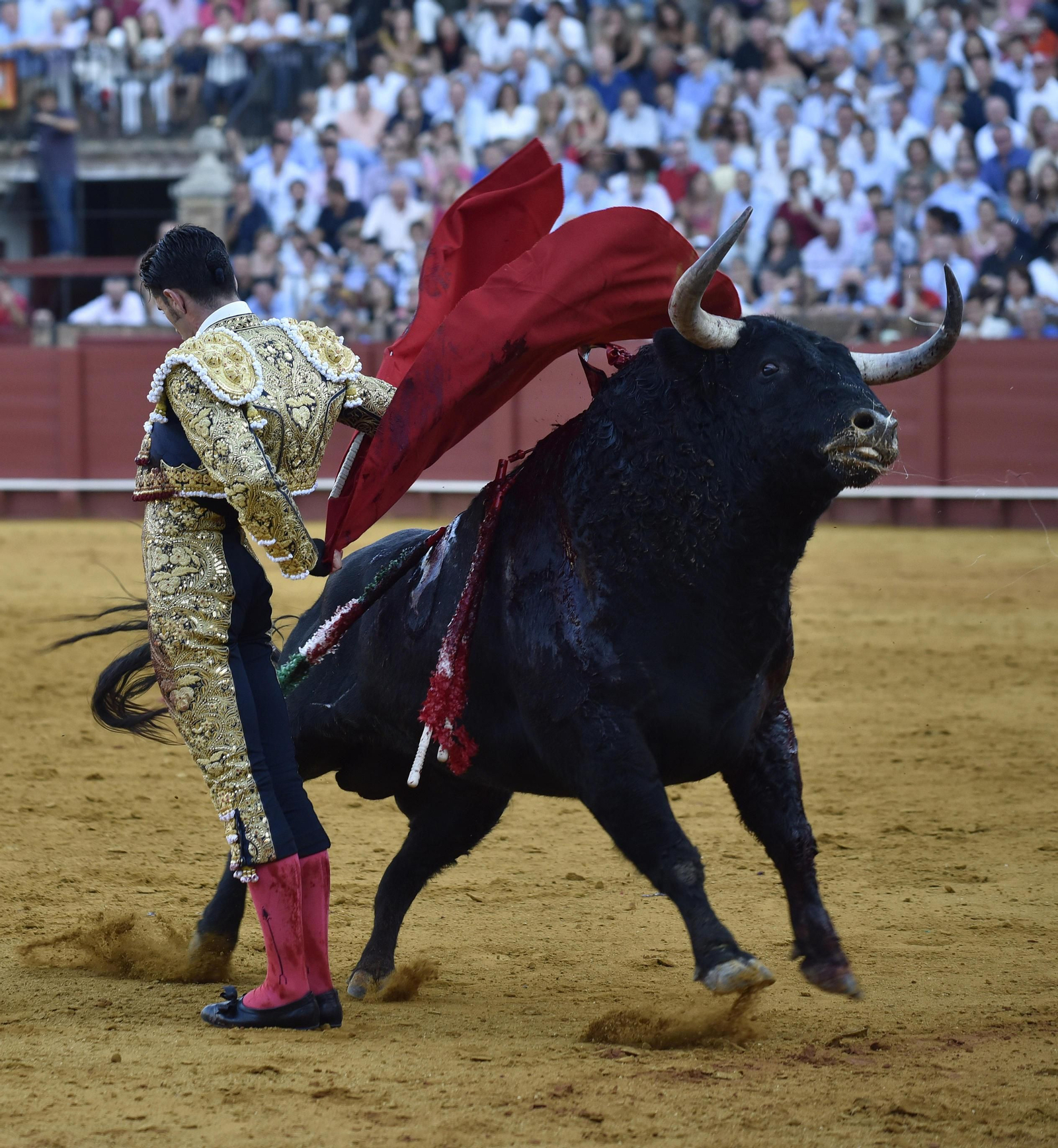 La segunda corrida de la Feria de San Miguel, en imágenes