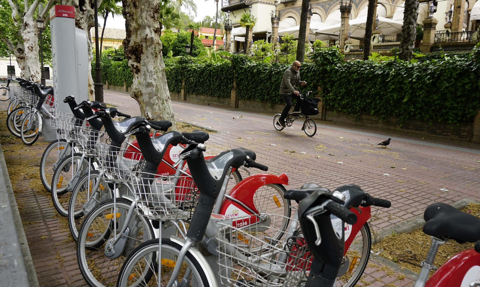 Pocos usuarios de Sevici tras la reapertura del servicio.