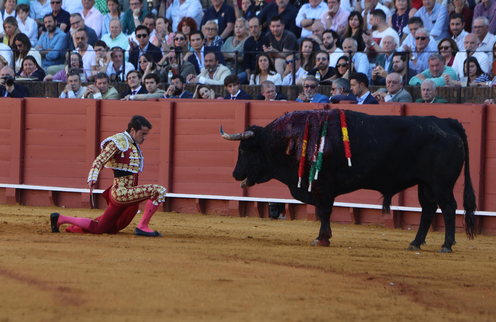 Las mejores imágenes de la corrida de hoy