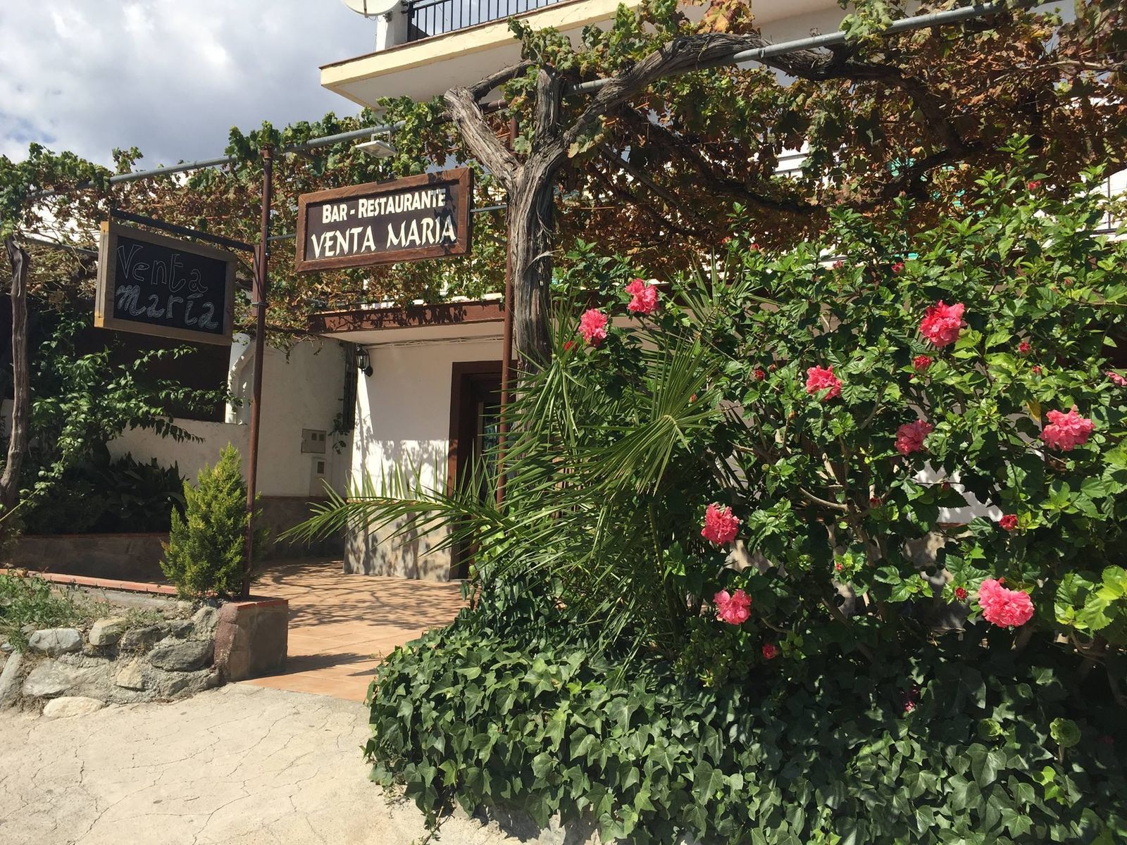 Restaurante Mono Stereofood Venta María (Órgiva)