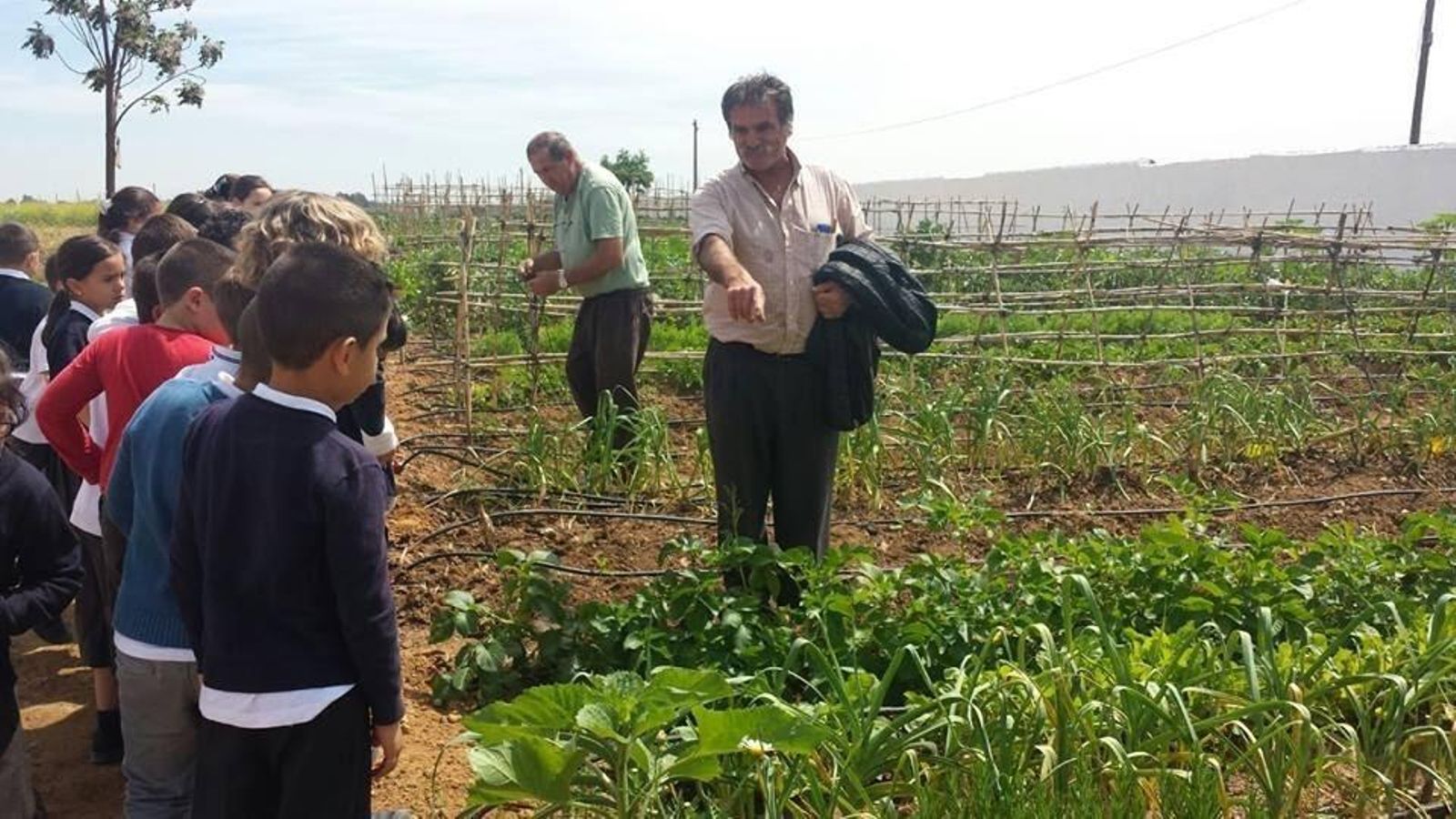 Alumnos de primaria aprendiendo sobre las labores del campo.