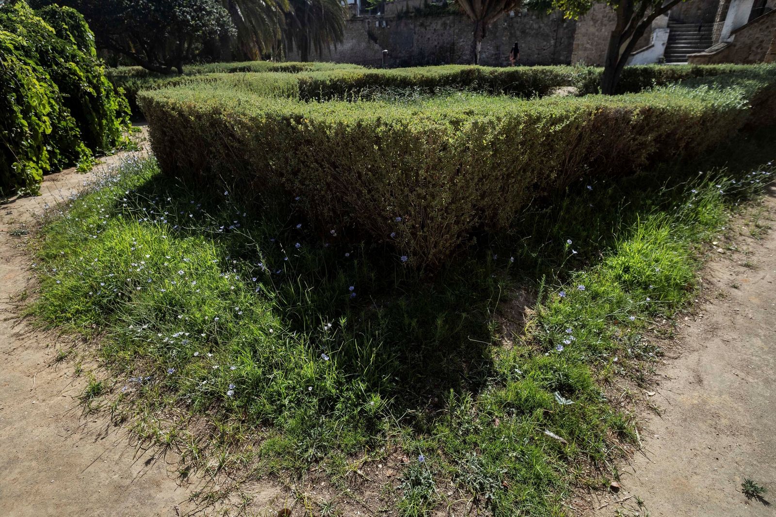 El estado de los jardines de la muralla de Cádiz