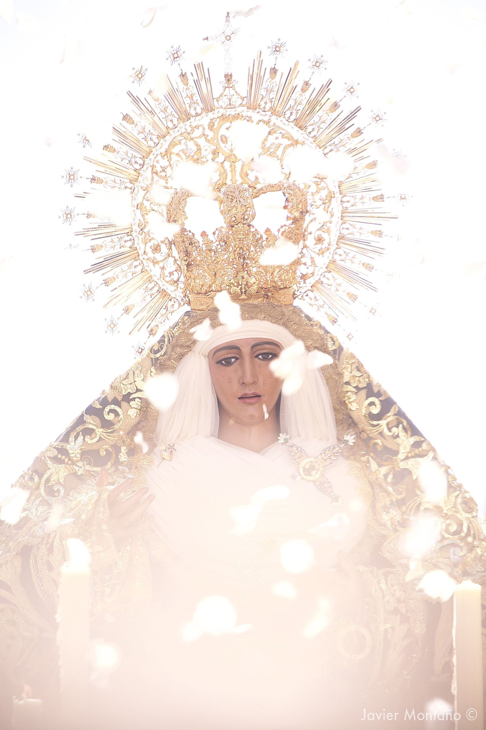 La luz del domingo de Laetare en el rostro de la Esperanza