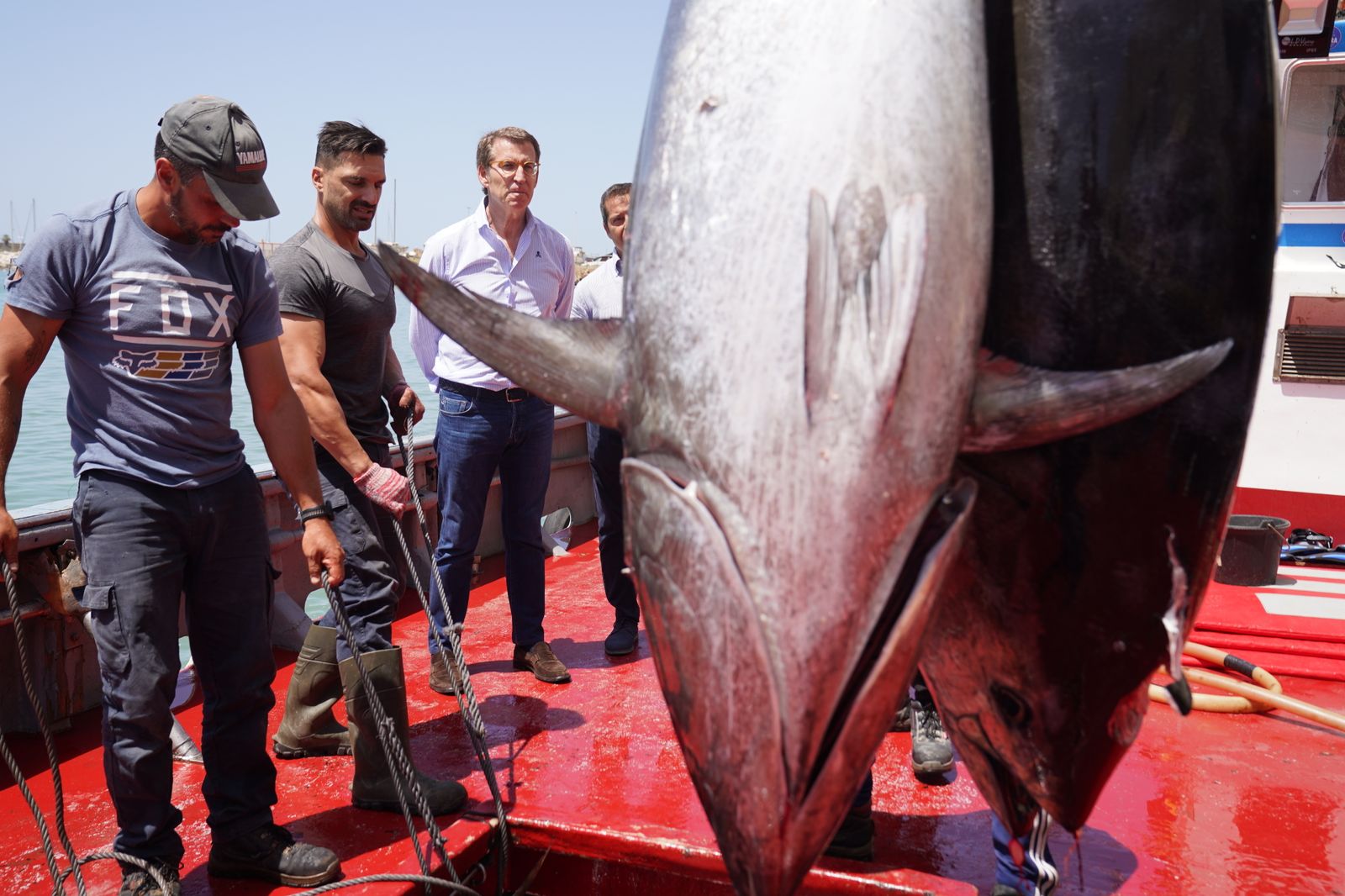 El presidente del PP, Alberto Núñez Feijóo. en un barco en Barbate.