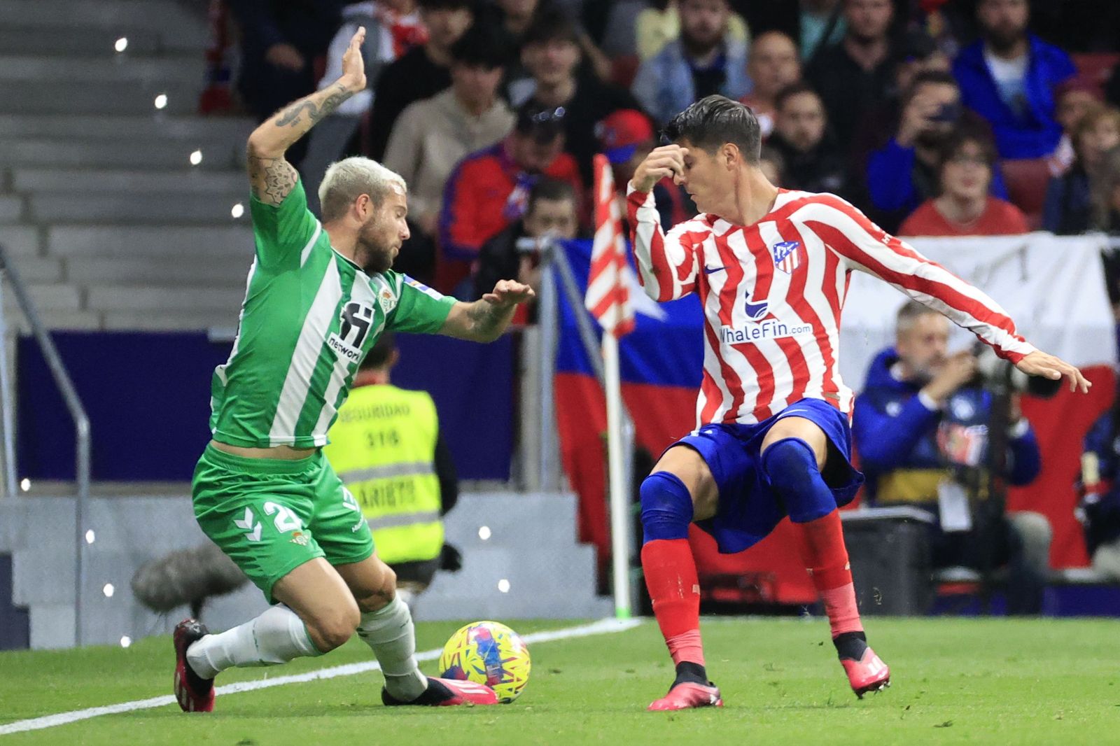 Las fotos del Atlético Madrid - Betis