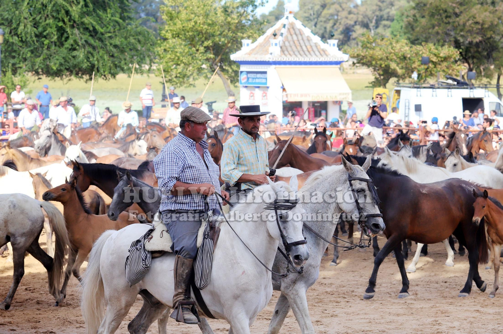 Imágenes de la saca de yeguas 2019