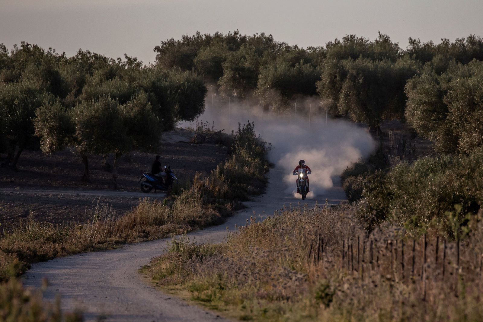 Los grandes del Dakar enseñan el paisaje rural de Andalucía
