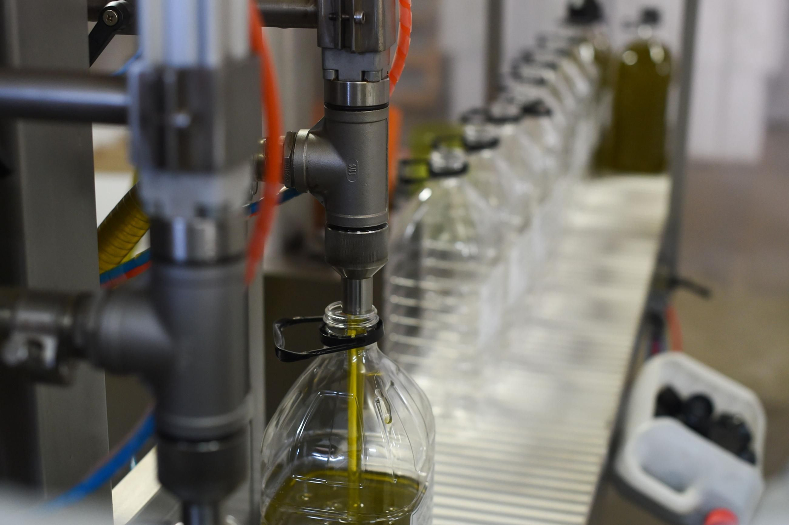 Envasado de aceite de oliva.