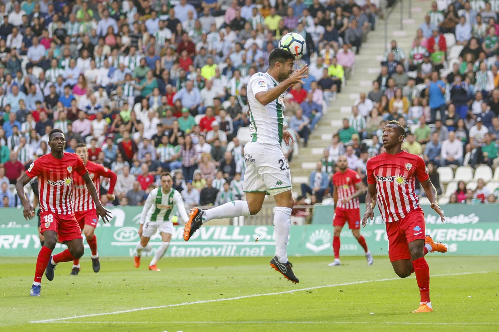 Las imágenes del Córdoba-Almería