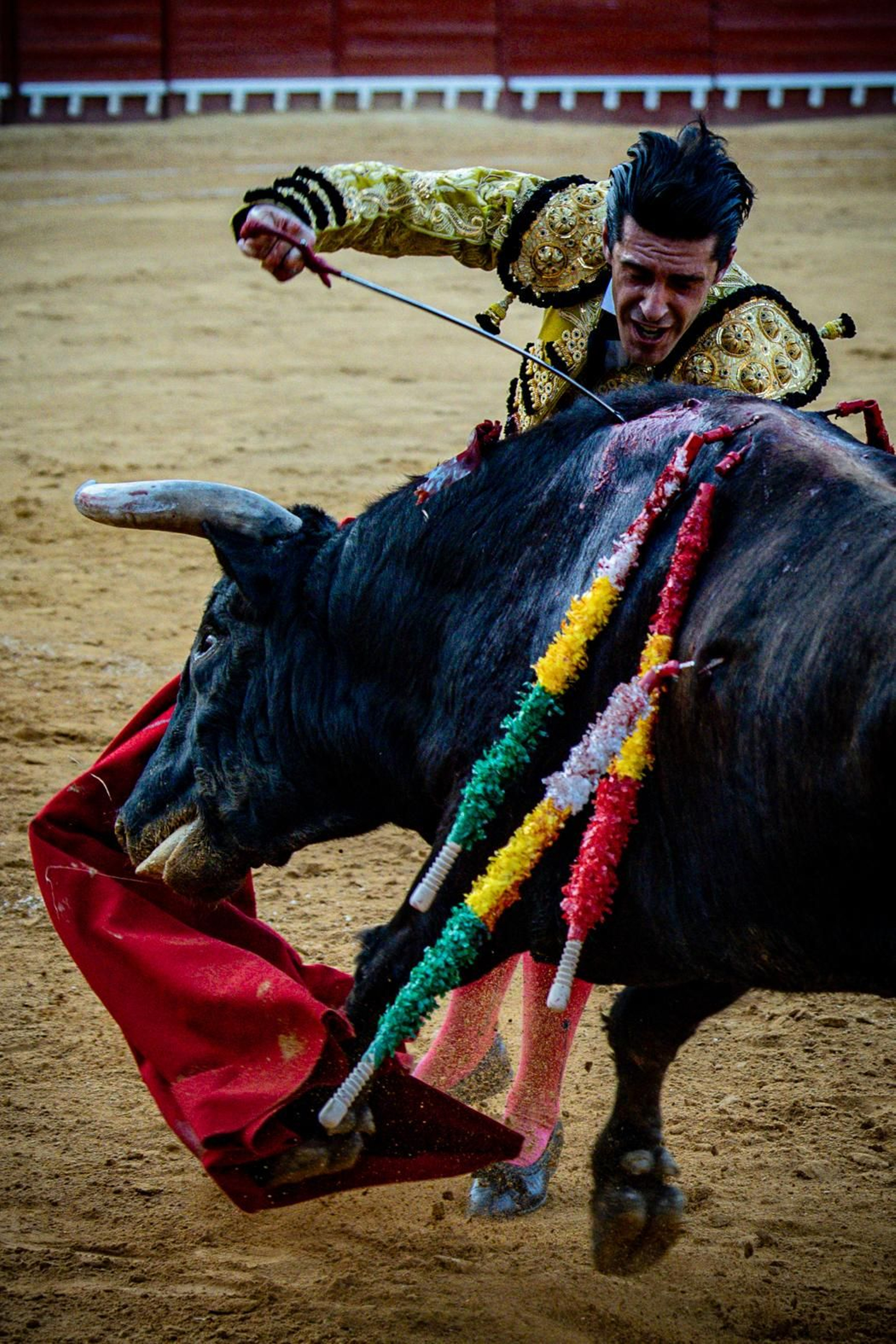 Las imágenes de la corrida de toros en El Puerto: Morante, Talavante y Juan Ortega