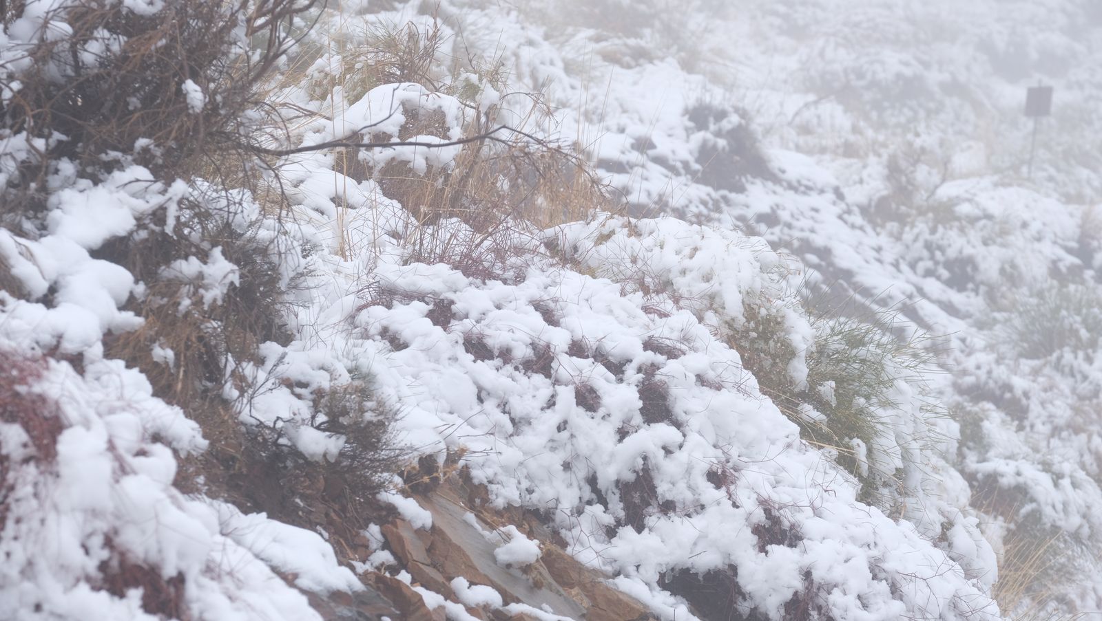 Fotogalería nevada en la Provincia de Almería