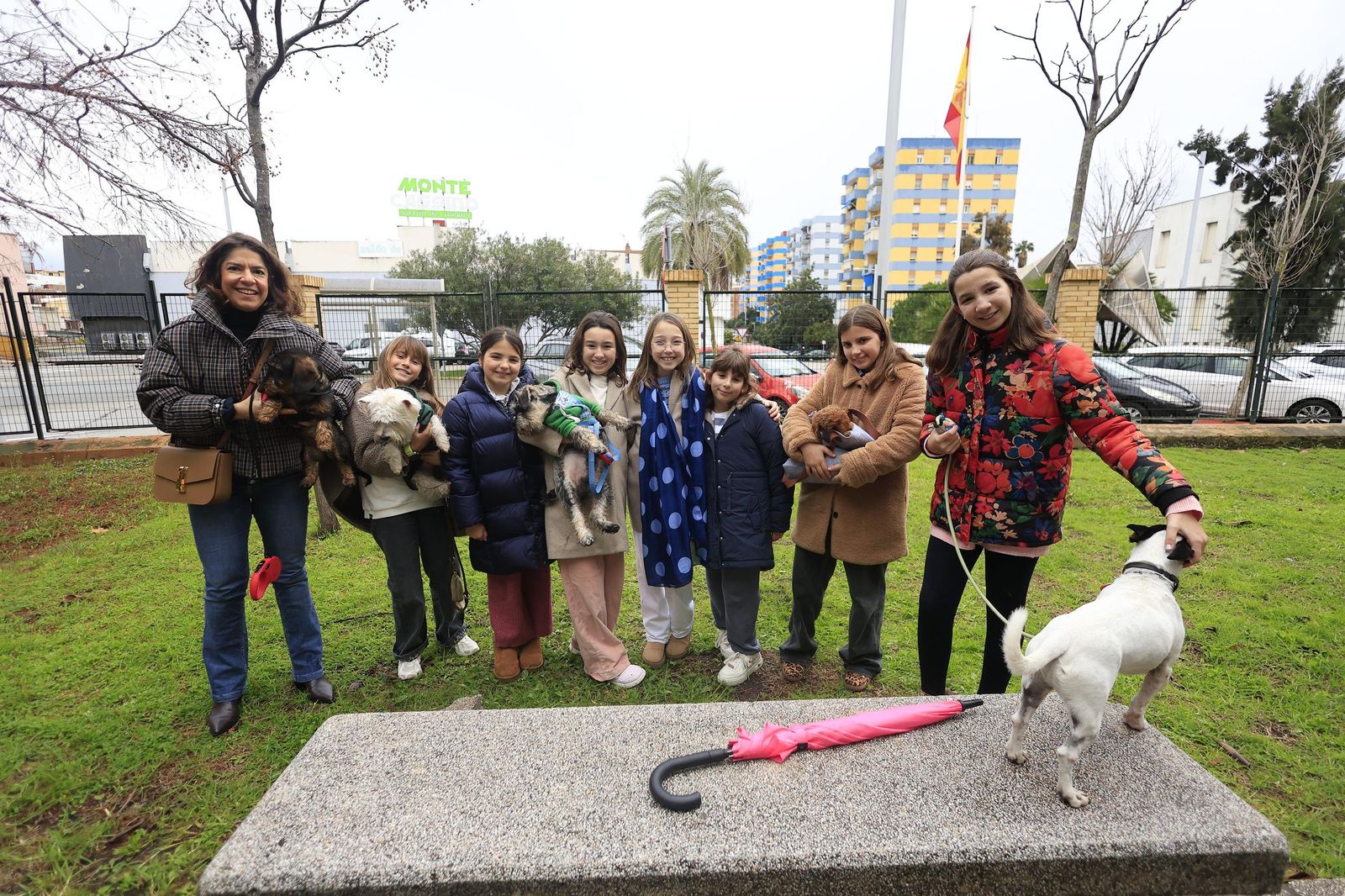 Las fotografías de la bendición de las mascotas por San Antón 2026
