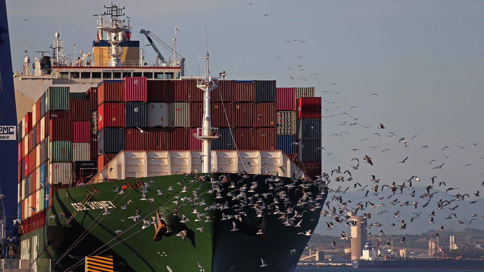 Una bandada de gaviotas sobrevuela un portacontenedores en la terminal de TTI en el puerto de Algeciras