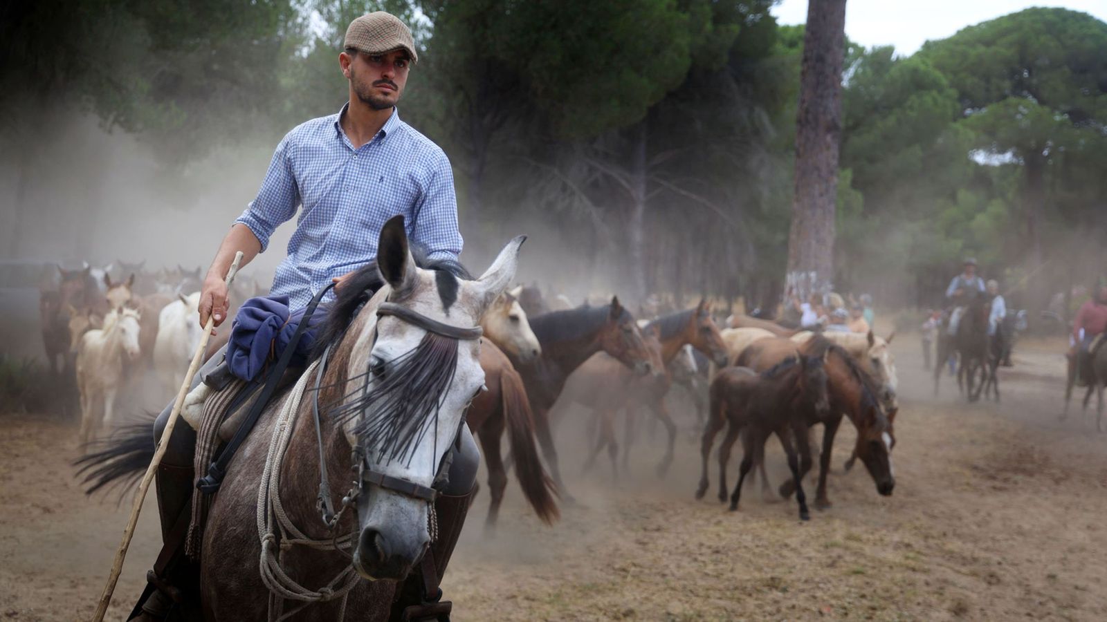 Saca de las Yeguas en El Rocío.