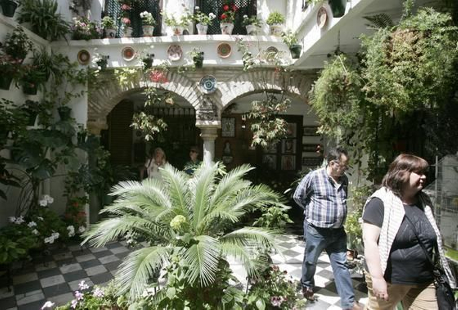 Foto: José Martínez