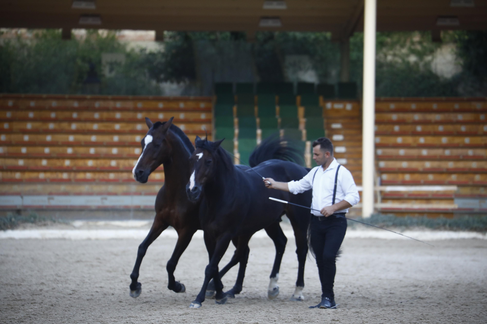 El arranque del XXVII Concurso Morfológico de La Feria del Caballo de Córdoba, en imágenes