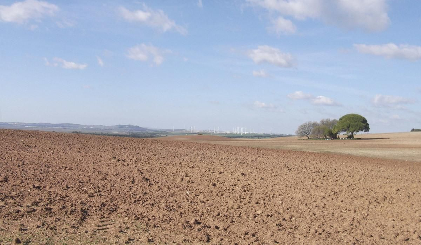 Zona en la que se instalará el proyecto de huerto solar