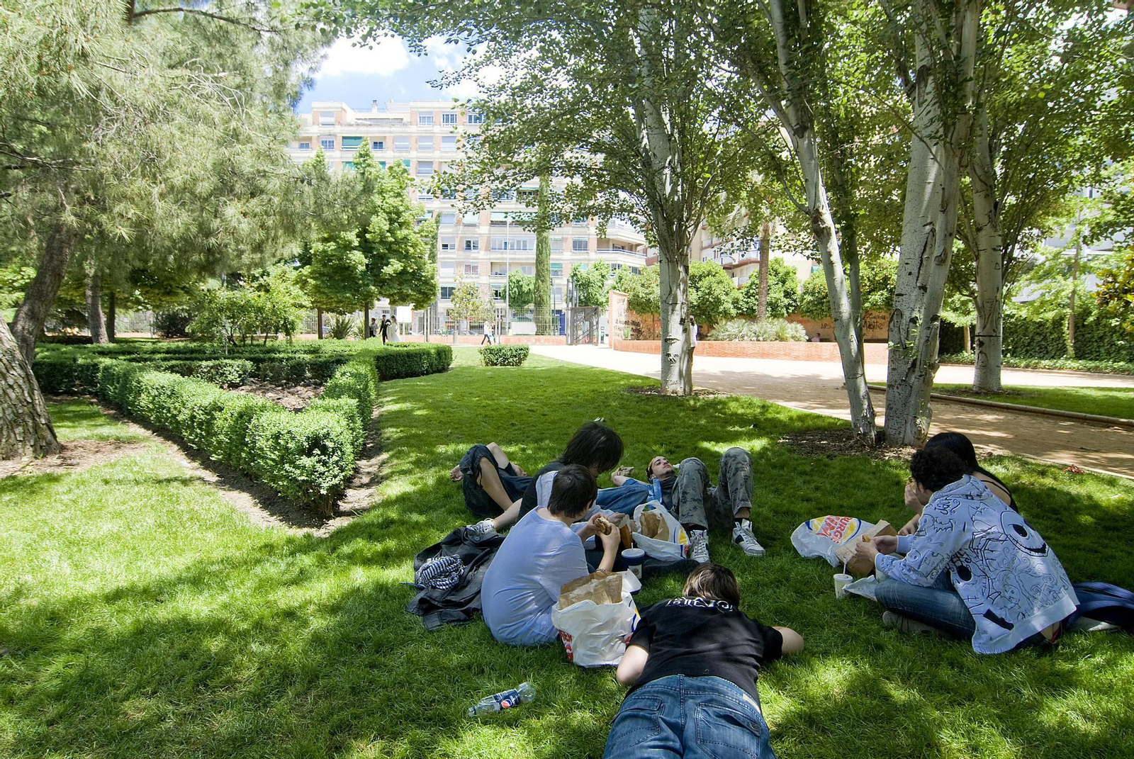 Varios jóvenes en un parque.