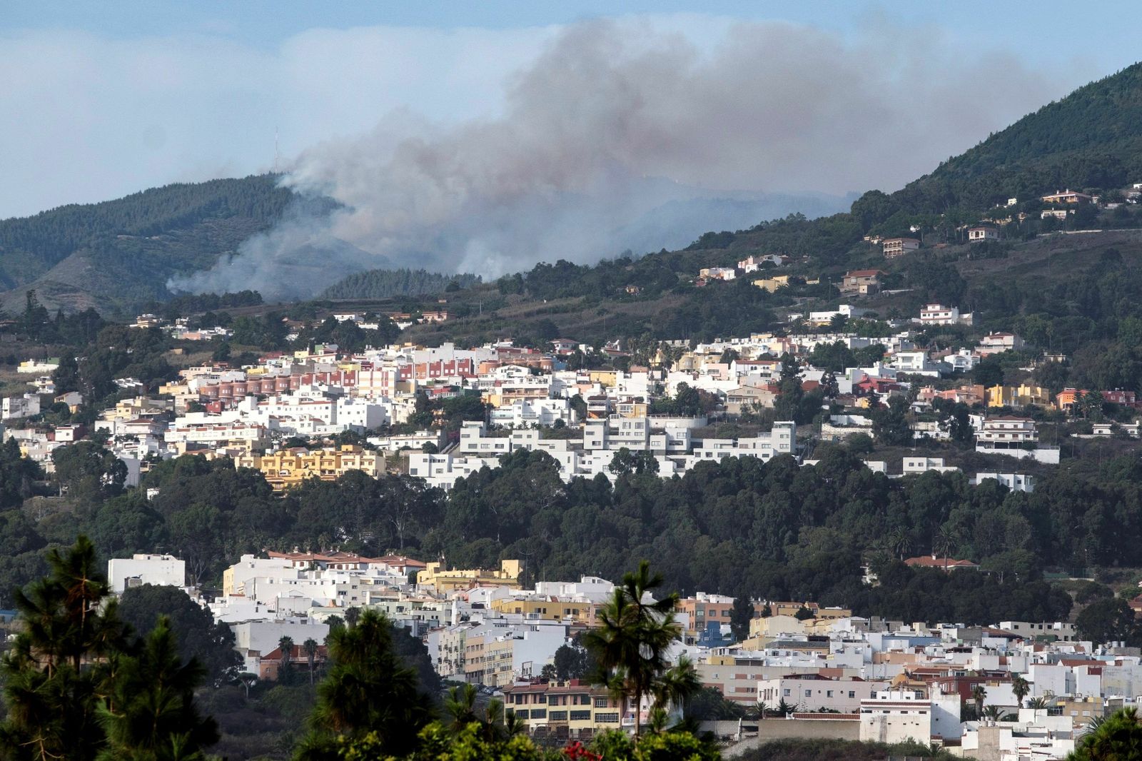 Las imágenes del incendio forestal en Gran Canaria.