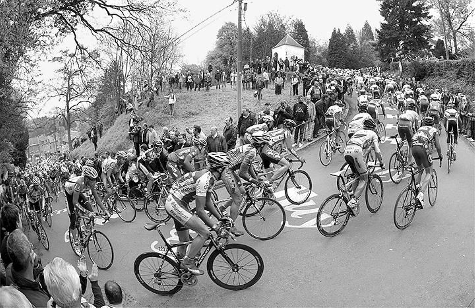 La carrera de Davide Rebellin, en imágenes