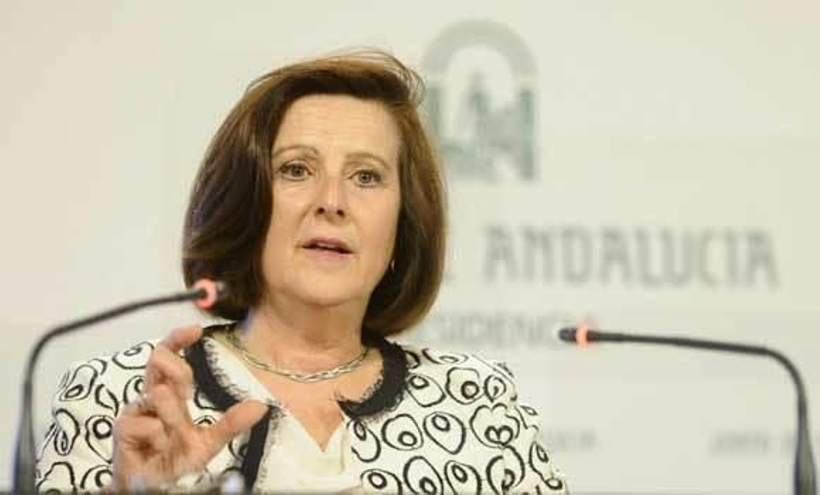 María José Sánchez Rubio.