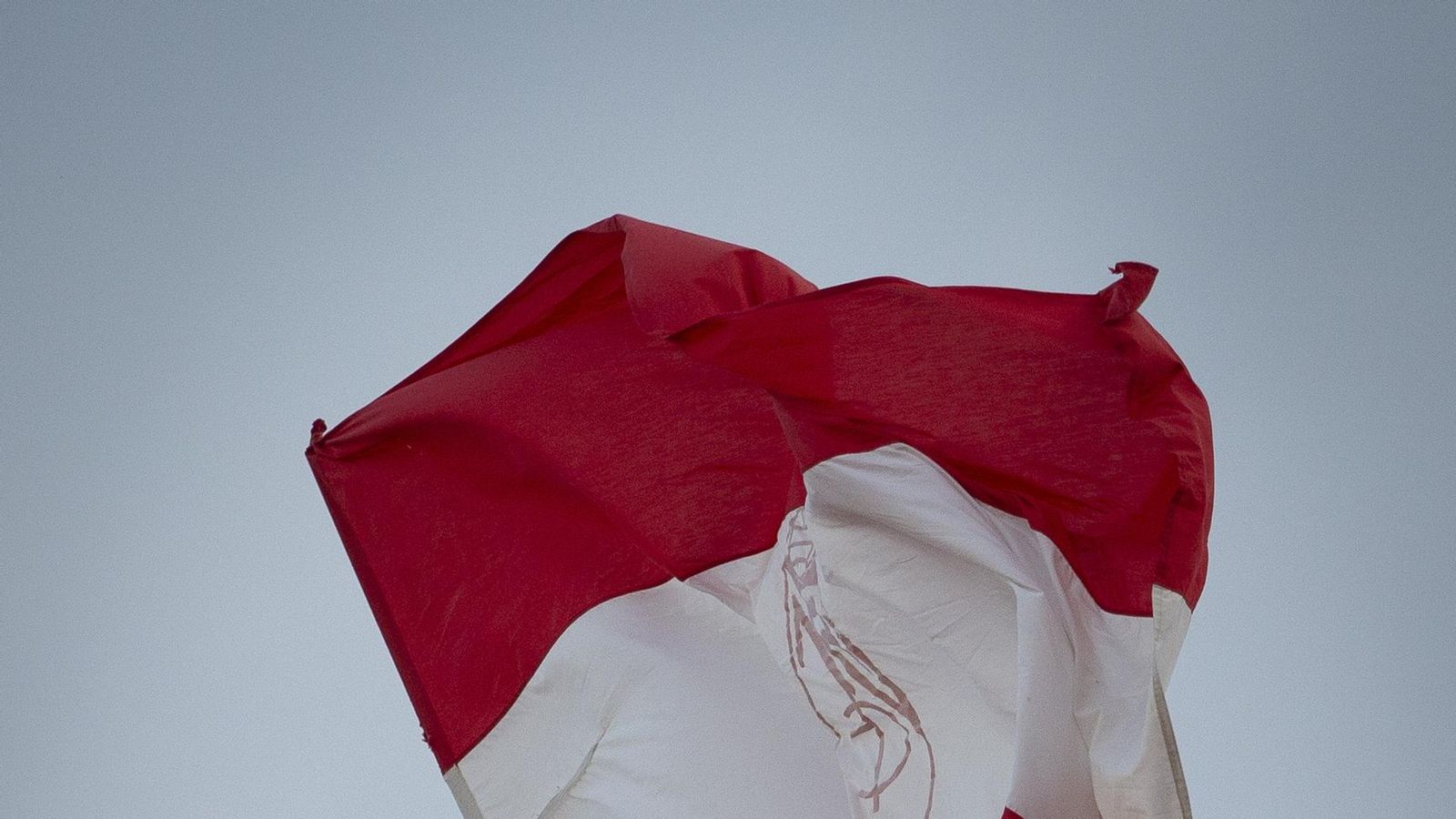 Búscate en la grada de Los Cármenes durante el Granada CF-Málaga CF