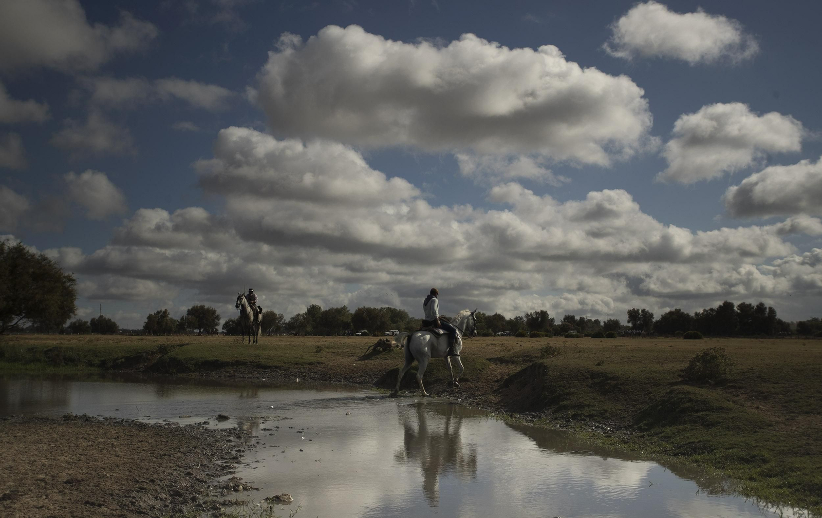 La Saca de las Yeguas, en imágenes