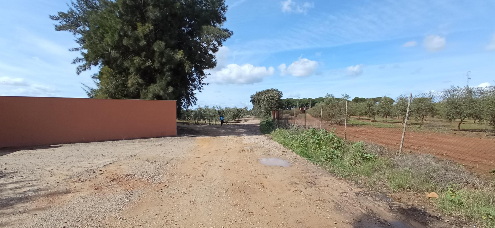 Las imágenes de la Ruta Azul en Bollullos de la Mitación