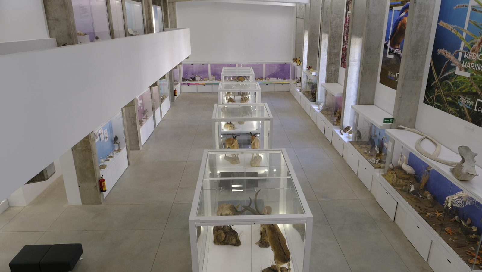 Descubre en estas fotos las maravillas que esconde el Pabellón de Historia Natural de la UAL