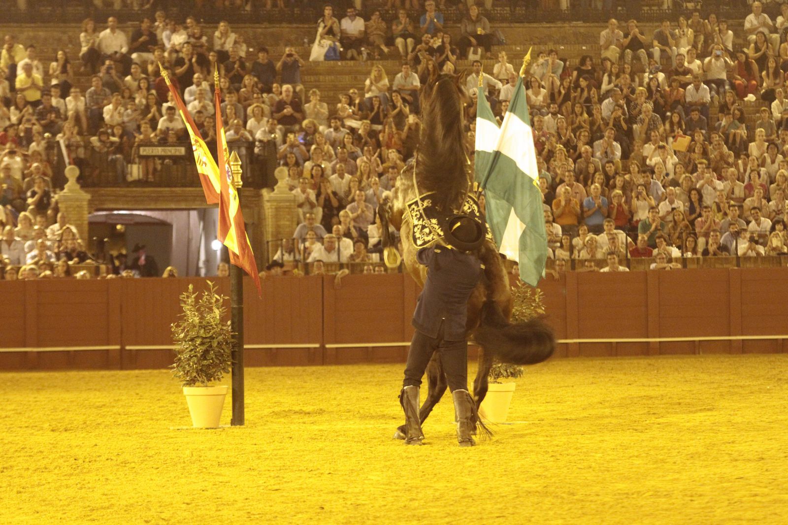 El espectáculo 'Cómo bailan los caballos andaluces', en imágenes
