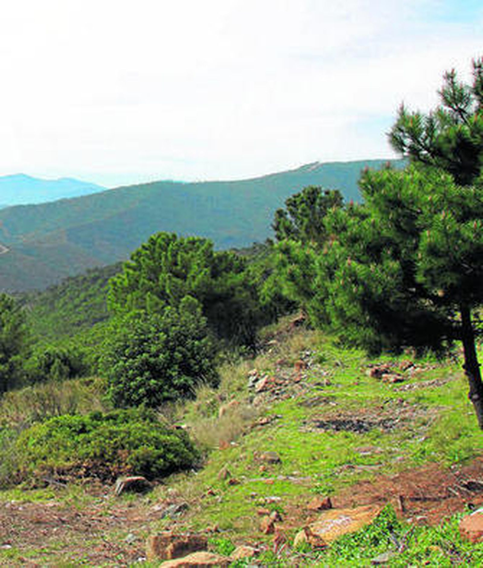 Vista de Sierra Bermeja.