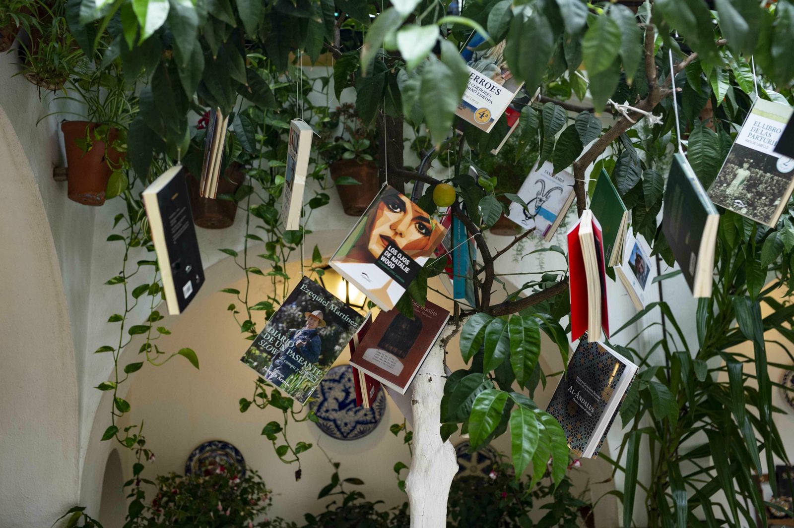 En imágenes: la ruta de los Patios Santa Marina-San Agustín