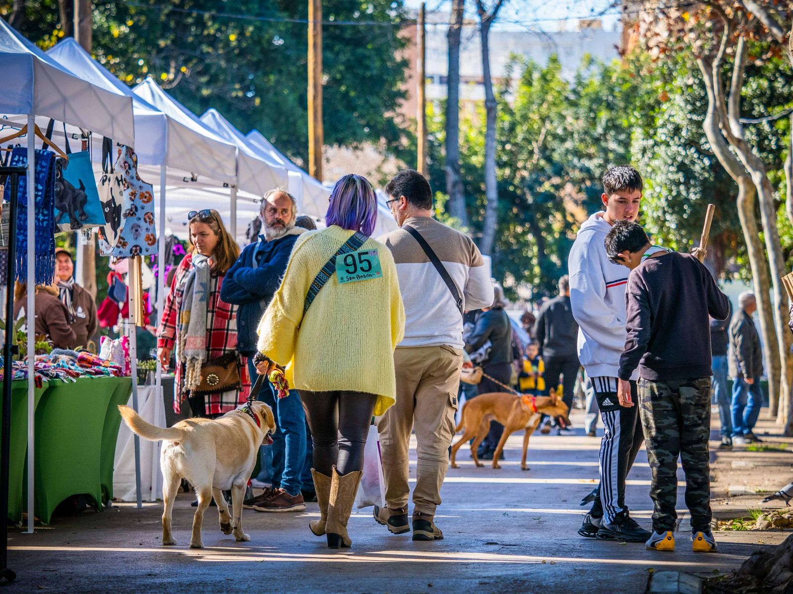 Las imágenes de San Antón 2025 en San Fernando