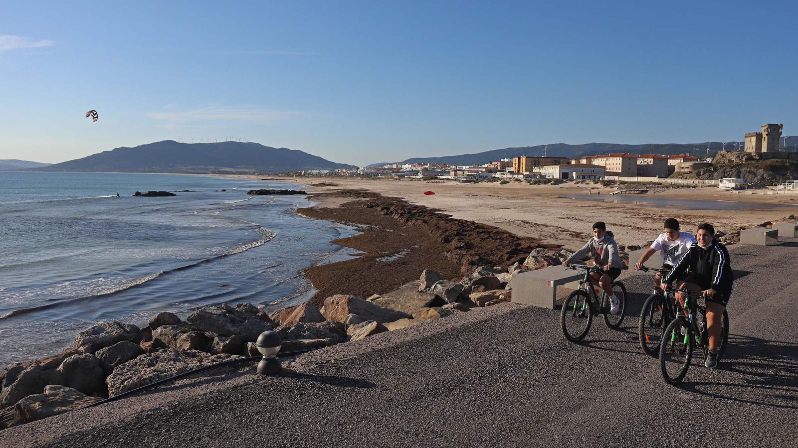 Alga invasora en Tarifa