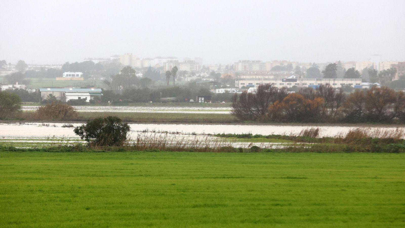 Imágenes del paseo rural por Jerez en el estreno de la borrasca Marta