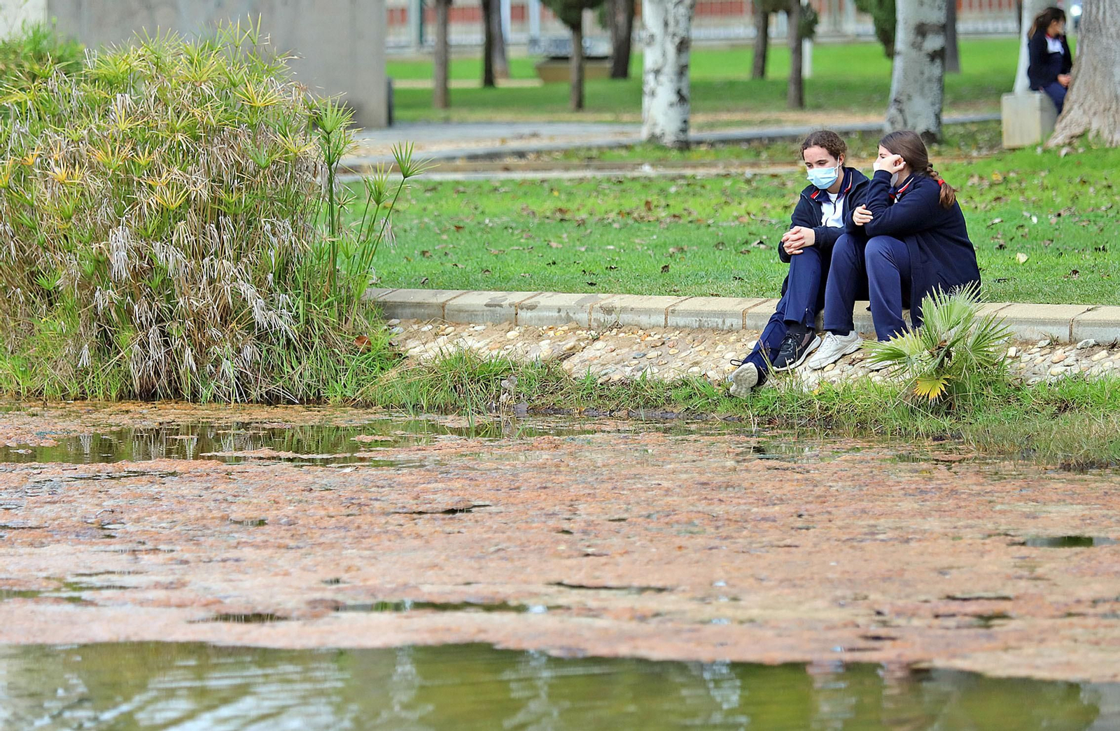 las imágenes más destacadas del jueves 10 de diciembre en Huelva