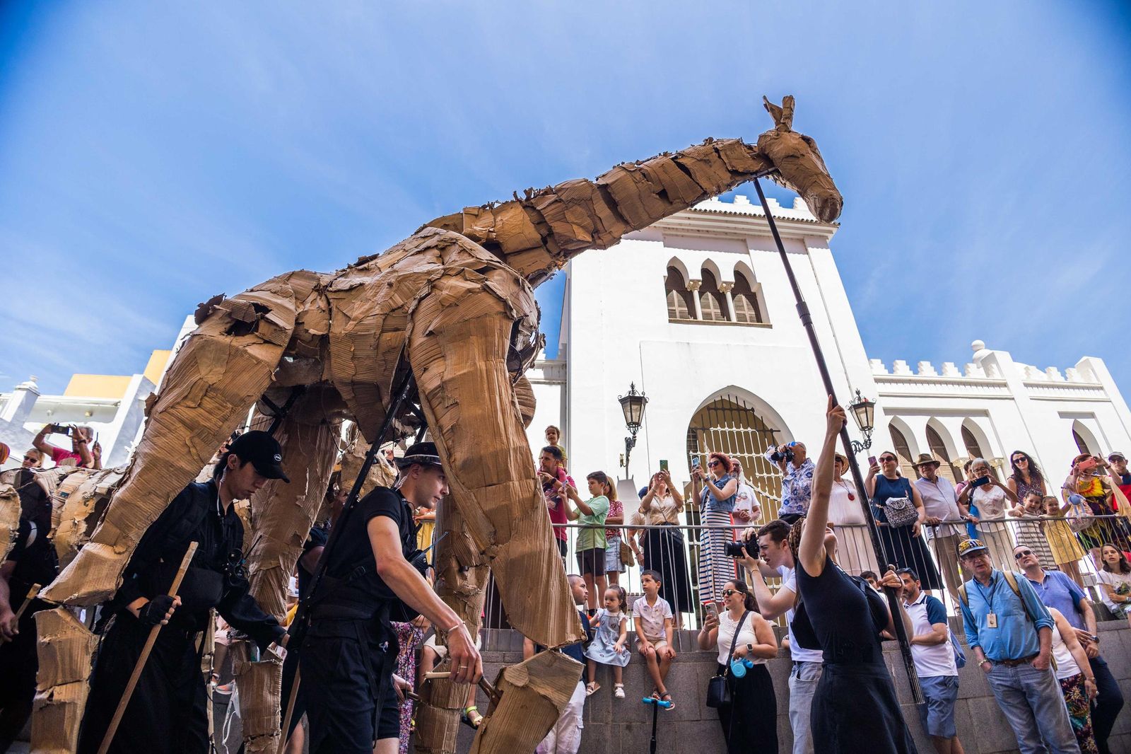 Las imágenes de 'La estampida' en San Fernando