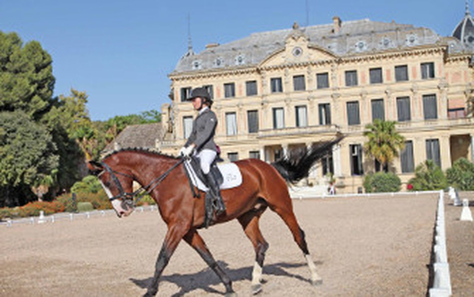 Los hijos de la crisis ya galopan sin estigma