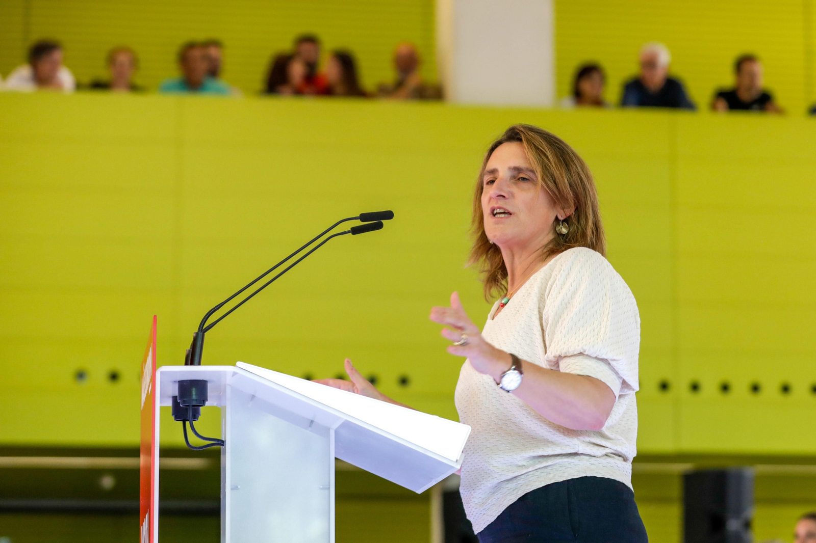 Las imágenes del mitin de Pedro Sánchez en Sevilla