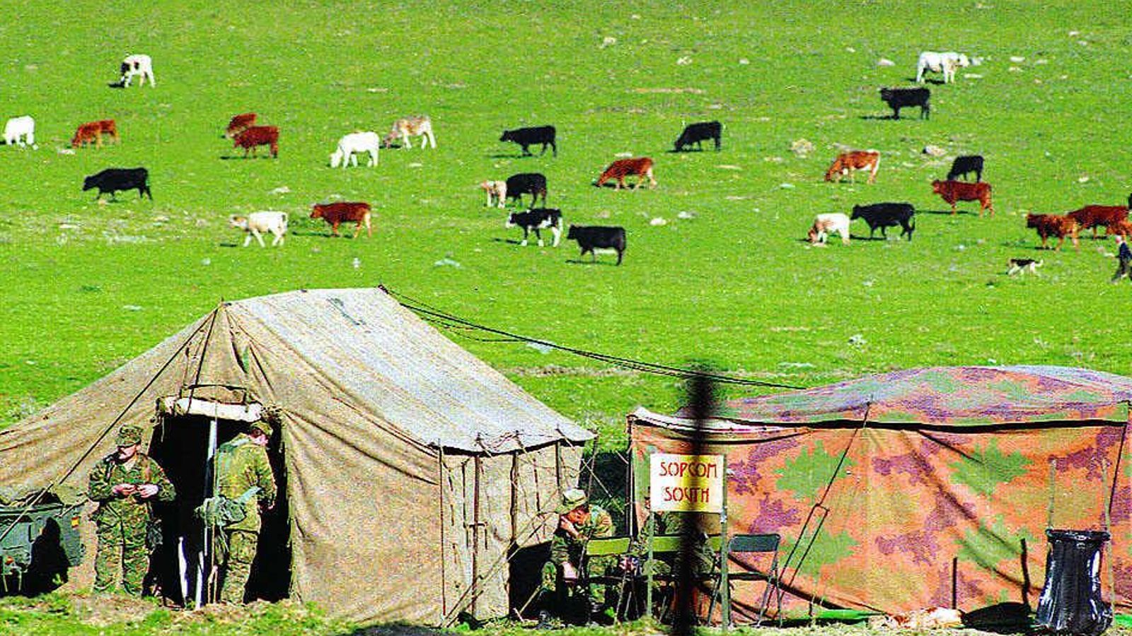 Campamento de maniobras de la OTAN en el Retín con las vacas retintas al fondo. Campamento de maniobras de la OTAN en el Retín con las vacas retintas al fondo.