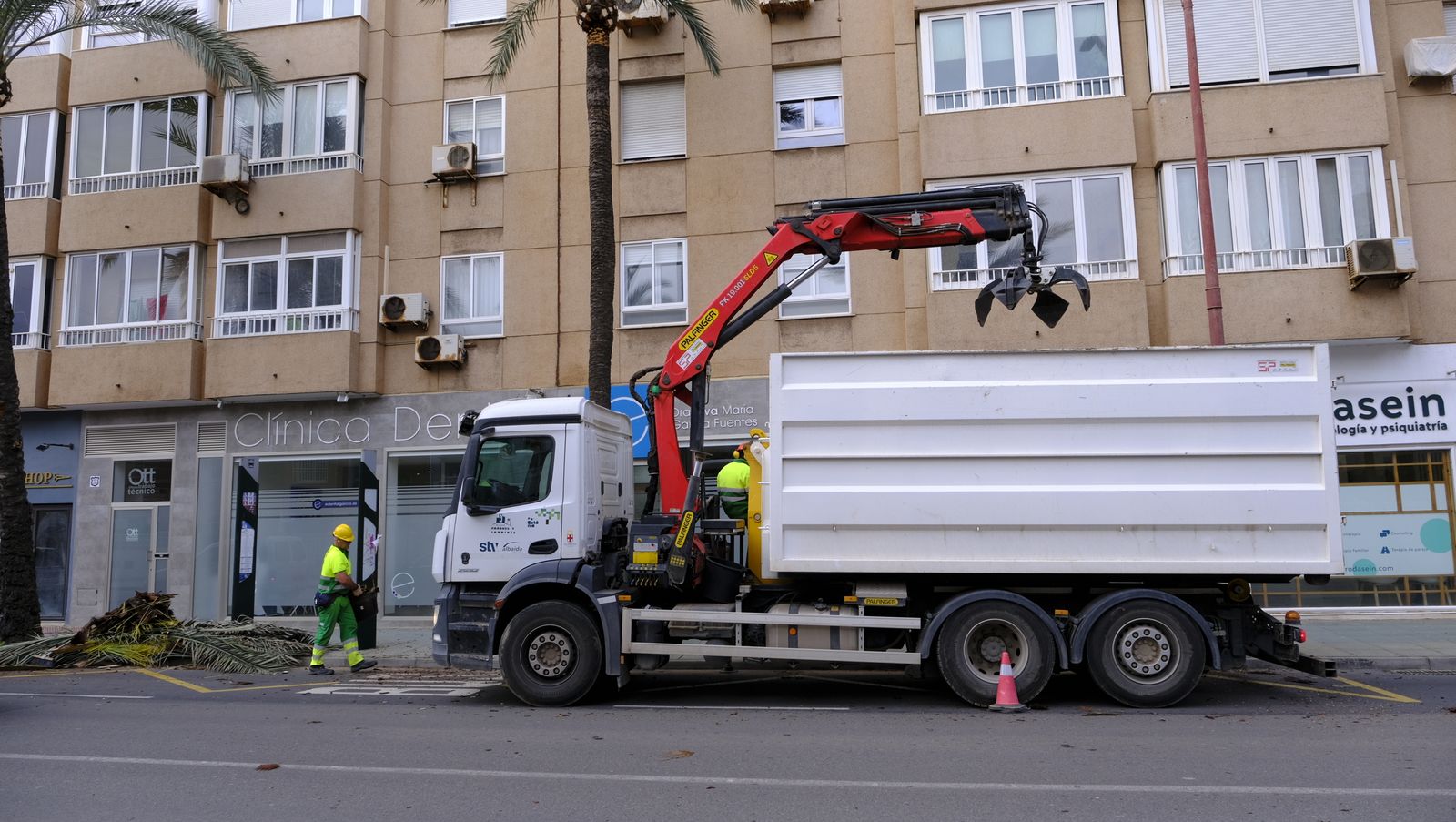 Fotogalería de la poda e inspección de las palmeras de la Avenida Cabo de Gata. Almería.